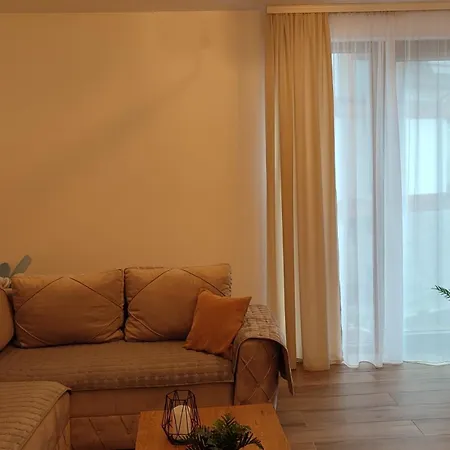 Apartmán Sany Borovi 1 *