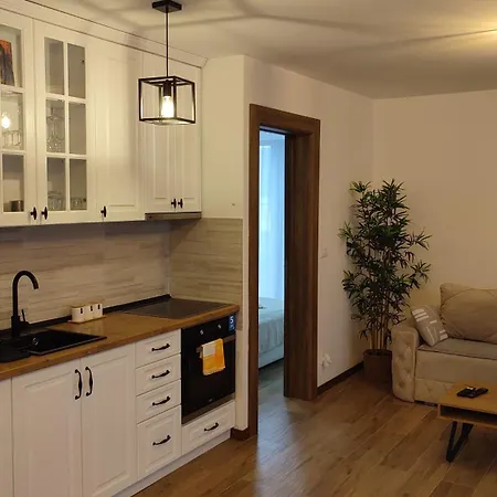 Apartmán Sany Borovi 1 Divčibare
