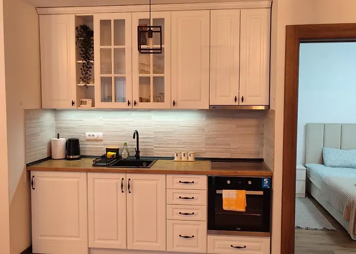 Sany Borovi 1 * Divčibare