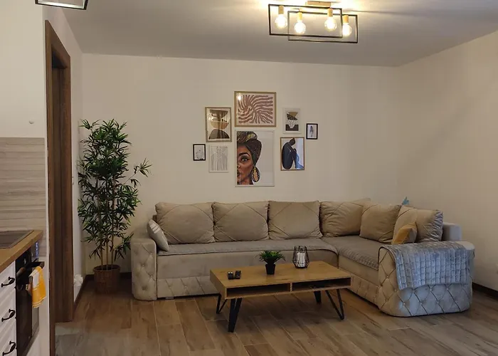 Sany Borovi 1 * Divčibare